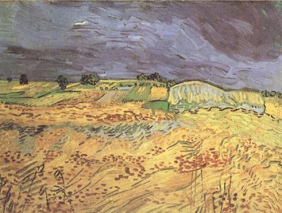 Vincent Van Gogh The Fields (nn04) oil painting image
